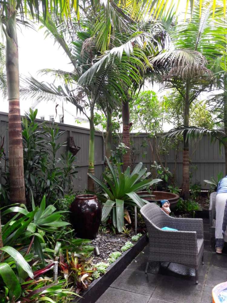 11/9 Georgia Terrace Albany_4