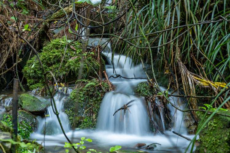 165 Boons Valley Road Picton_23