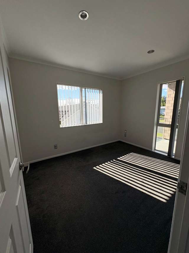 9b Arran Street Avondale_4