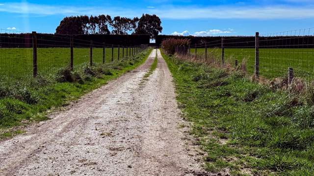 Dowling Road Longbush_2