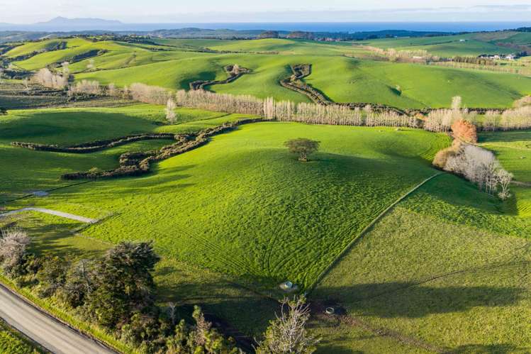 Ocean View Road and Busbridge Road Te Arai_15
