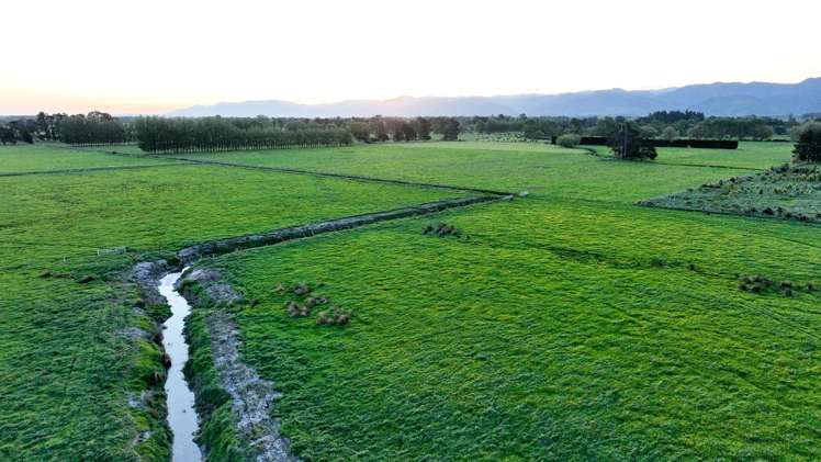 Duddings Line Tauherenikau_9