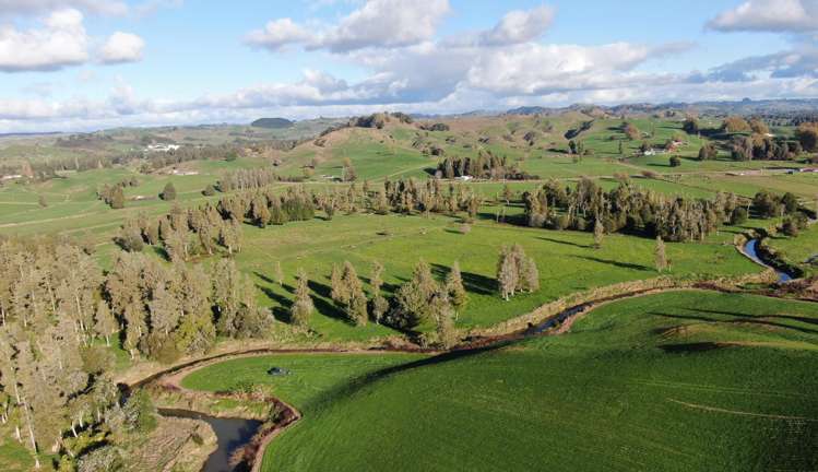 Waitomo Caves Road_2