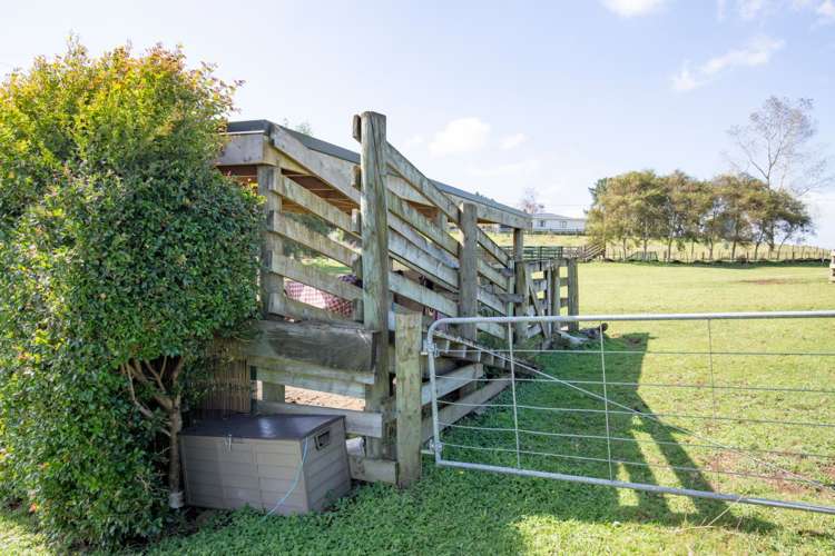 49 Brewster Road Pukekawa_24