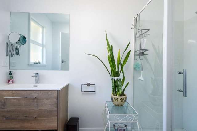 10A Budge Street Mayfield_4