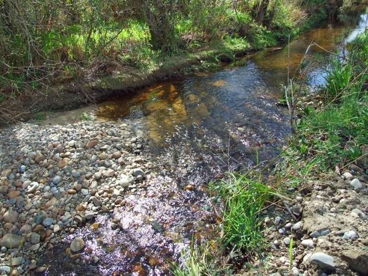 172 Wharariki Road Kahurangi National Park_14
