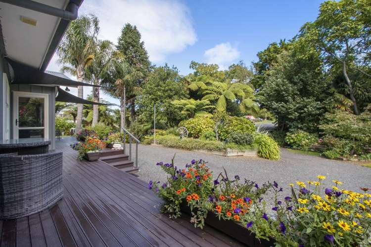 25 Gilmour Street Waihi_11