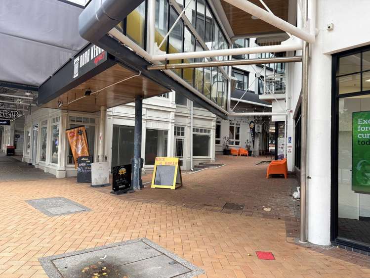 Ground/120 Victoria Street Te Aro_2