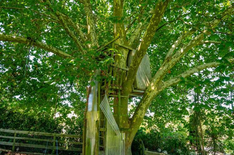 510 Whatawhata Road Temple View_35