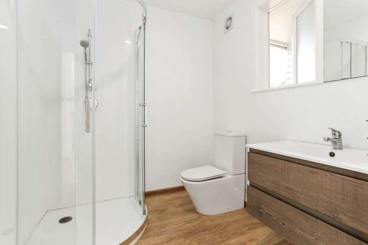 176 White Swan Road Mount Roskill_12