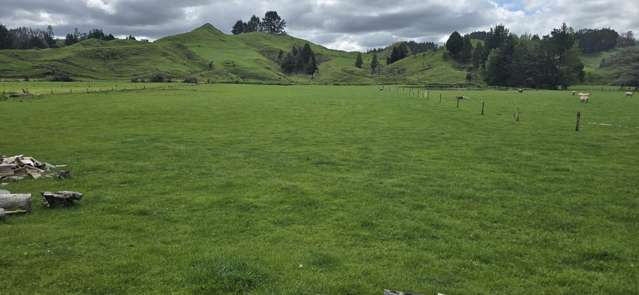 1155 Makuri Road Stratford_4