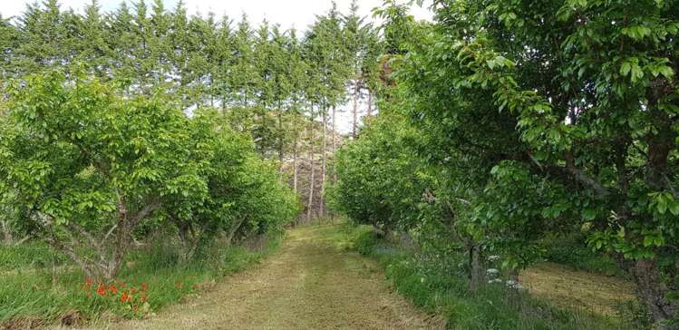 1618 State Highway 14 Maungatapere_14