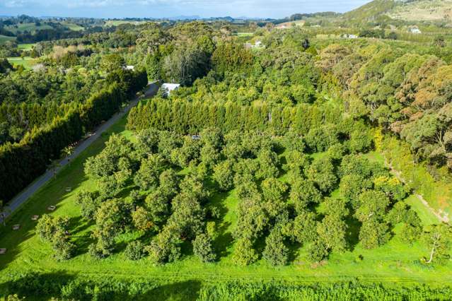 120 Bint Road Maungakaramea_4