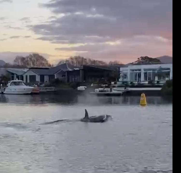 17 Waitotara Way Whitianga_59