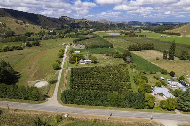 Paulson Road Te Karaka_4