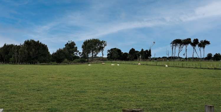 25 Ryland Park Levin_13