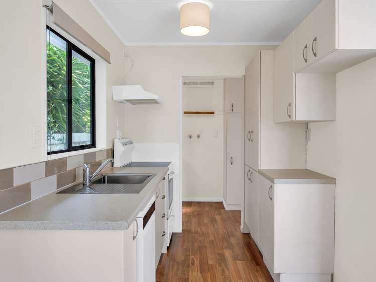 15b Douglas Street Levin_7