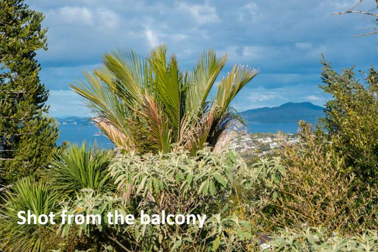 2/100 Sunrise Avenue Mairangi Bay_14