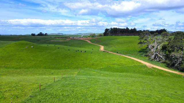 227 Whenuahou Road Norsewood_4