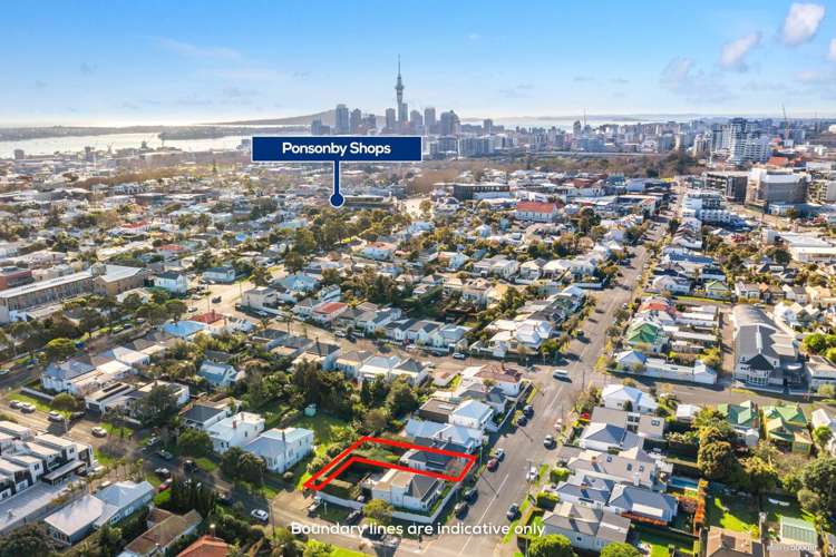 65 Rose Road Grey Lynn_19