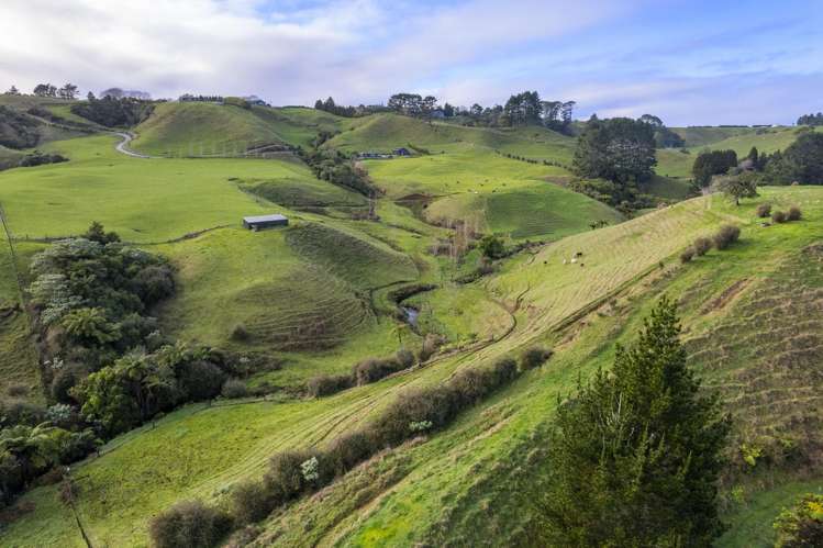 378 Hursthouse Road Tarurutangi_38