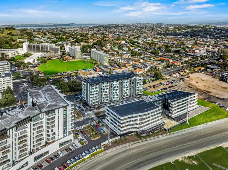 223 Greenlane West Epsom_5