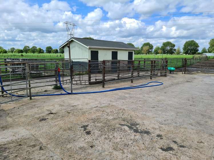 139 Taylor Road Gordonton_8