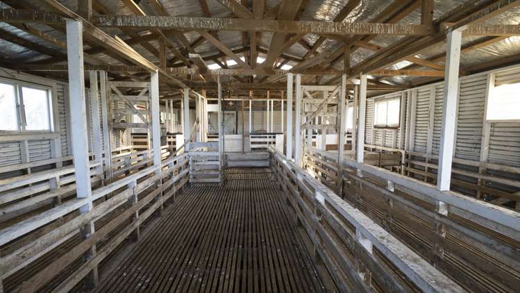 43 Taumata Island Road Carterton_8