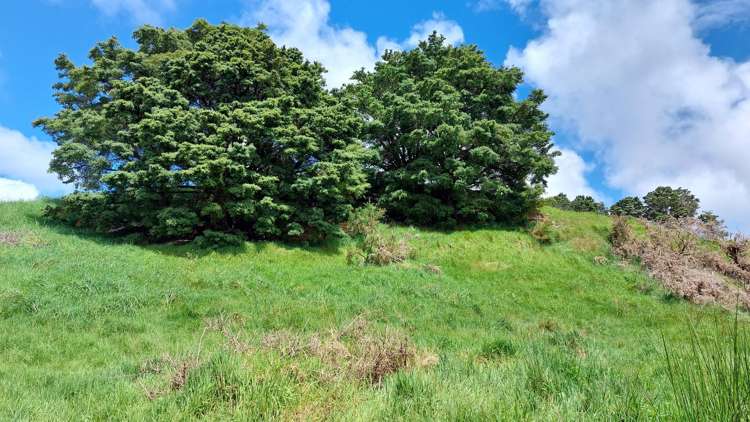 Lot/2 Wearmouth Road Paparoa_22