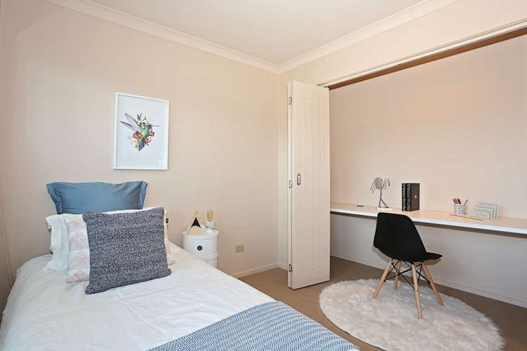 34 Hoffman Court Waikiwi_16