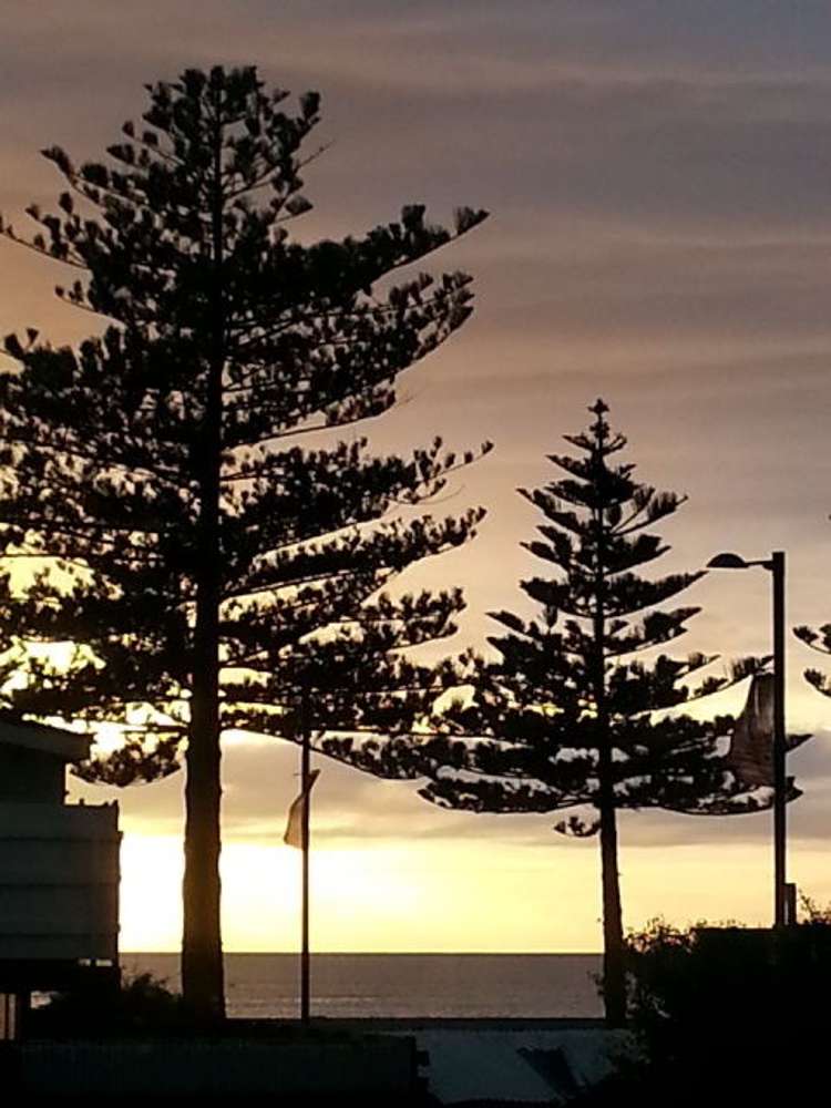 96 Mcgrath Street Napier South_26