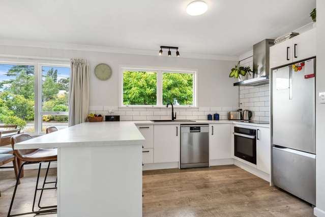 19 Devon Street Stoke_2