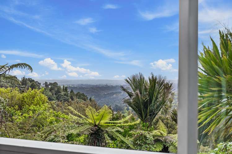 875 Scenic Drive Swanson_35