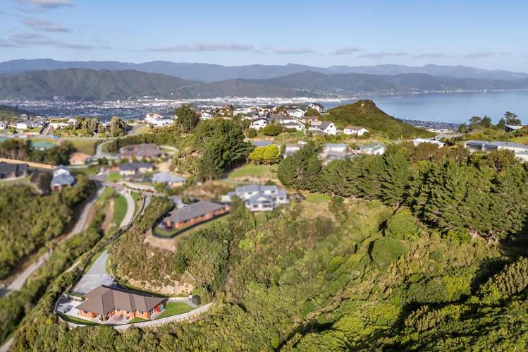 251 Maungaraki Road Maungaraki_5