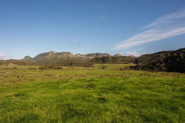 60 Snake Creek Road Kahurangi National Park_3