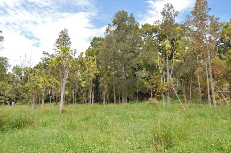 138 Rangiora Road Kaiwaka_8