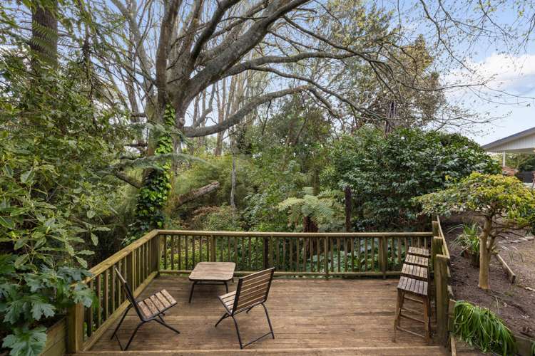 30 Chesterman Road Riverlea_15