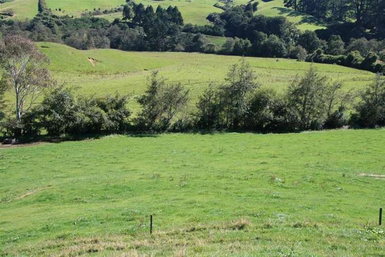 185 Bristol Road Pareora_2