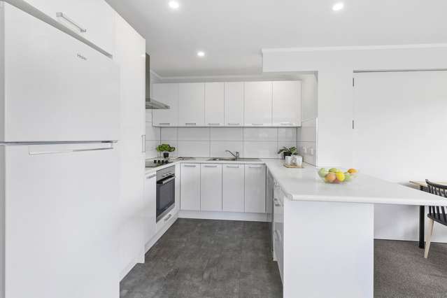 103a Hobart Street Miramar_4