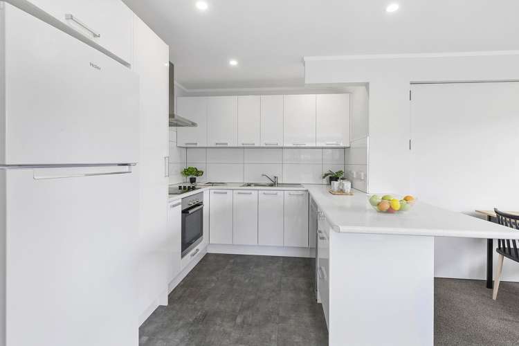 103a Hobart Street Miramar_4