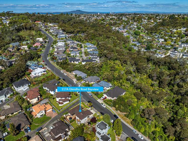 117A Glendhu Road Bayview_25