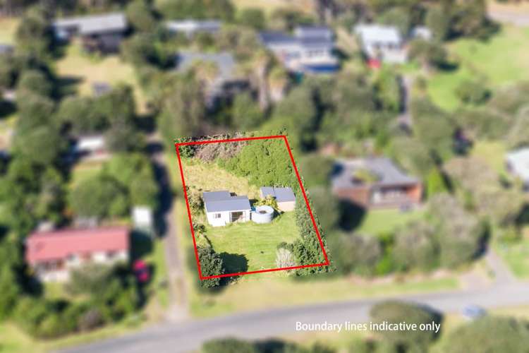 270 Bethells Road Bethells Beach_5