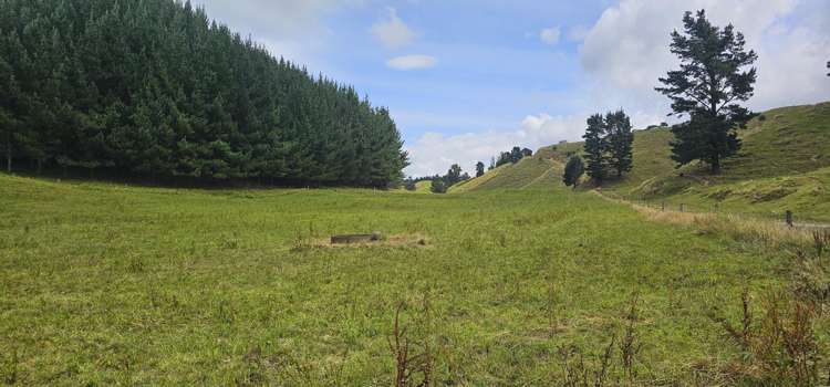 248 Lichenstein Road Okere Falls_24