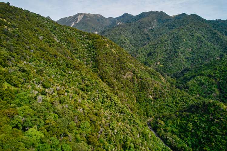 20 Moana Road Kaikoura_19