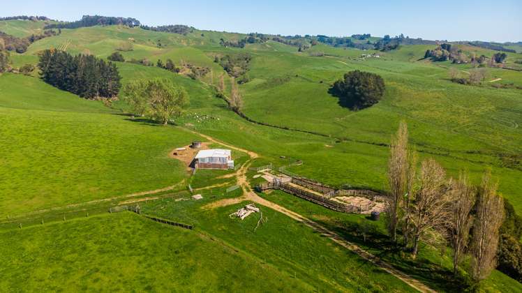 356 Lurman Road Otorohanga_3