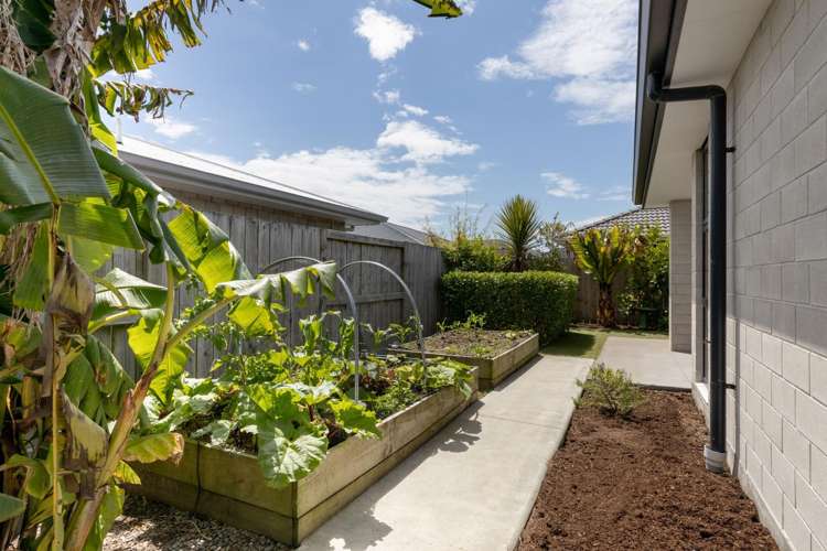 22 Bill Miller Drive Papamoa_24