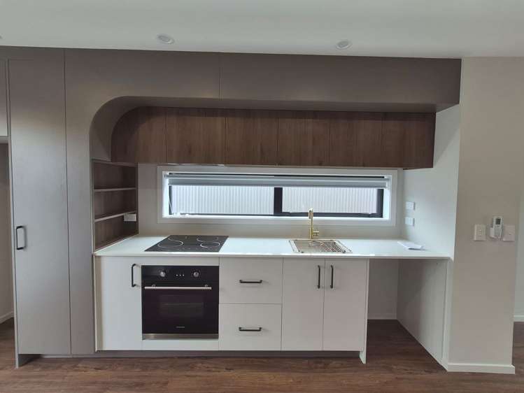 21B Ferguson Street Levin_3