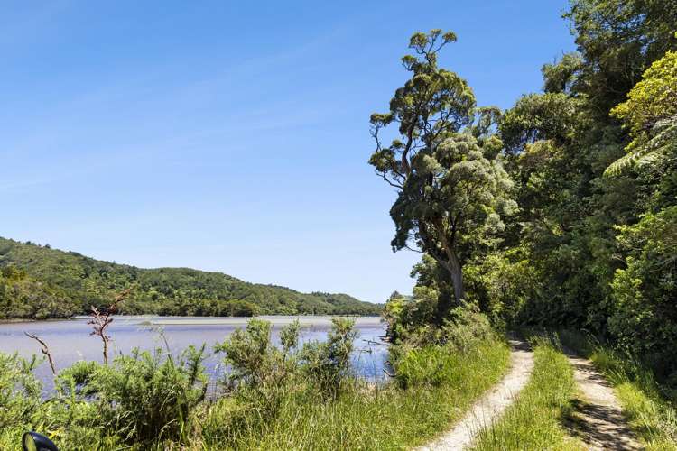 857 Dry Road Tasman_8