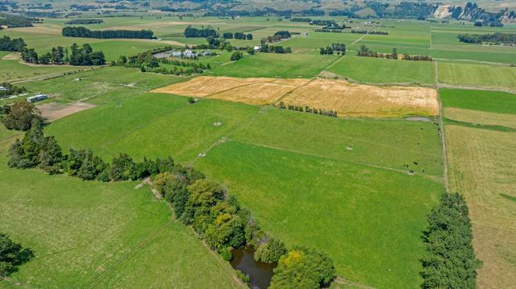 2054 Kimbolton Road Kiwitea_18