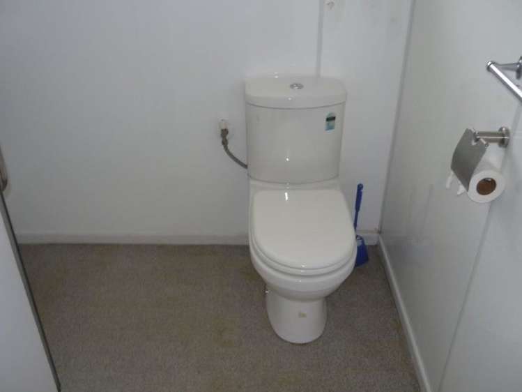 23 Grace Crescent Tokoroa_18